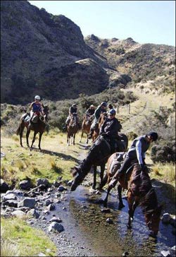 New Zealand Horse Trek