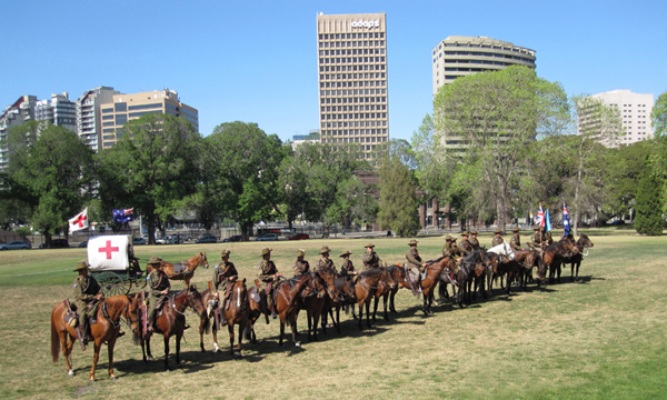 Ballarat horses