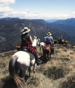 horse trainers in Australia
