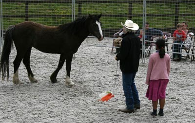 Bittles Brook Farm