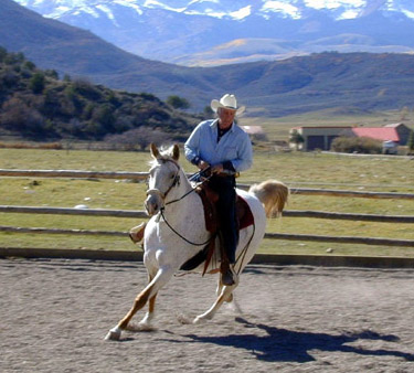 natural horsemanship training in Colorado and the U.S.A.