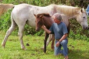 Mother Horse with Foal